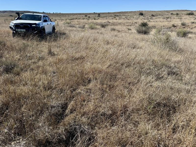 0 Bedroom Property for Sale in Lindley Free State